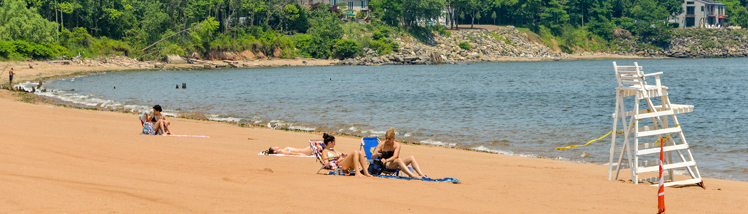 Scattered people on a sandy beach on a bright sunny day. In the distance, a few homes can be seen through rows of trees.