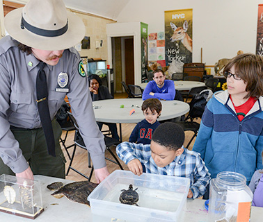 An Urban Park Ranger shows a turtle to children in a building with nature posters.