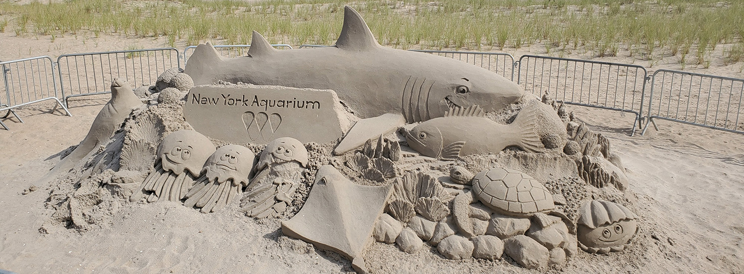 A sand castle featuring aquatic life including sharks and jellyfish, and a sign that reads 