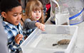 kids interact with a turtle in a bin with water