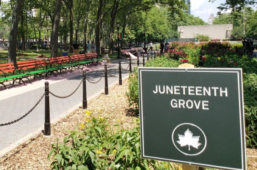 benches painted in the Pan-African colors line a grove of trees called the Juneteenth Grove. A park sign near the grove reads: Juneteenth Grove