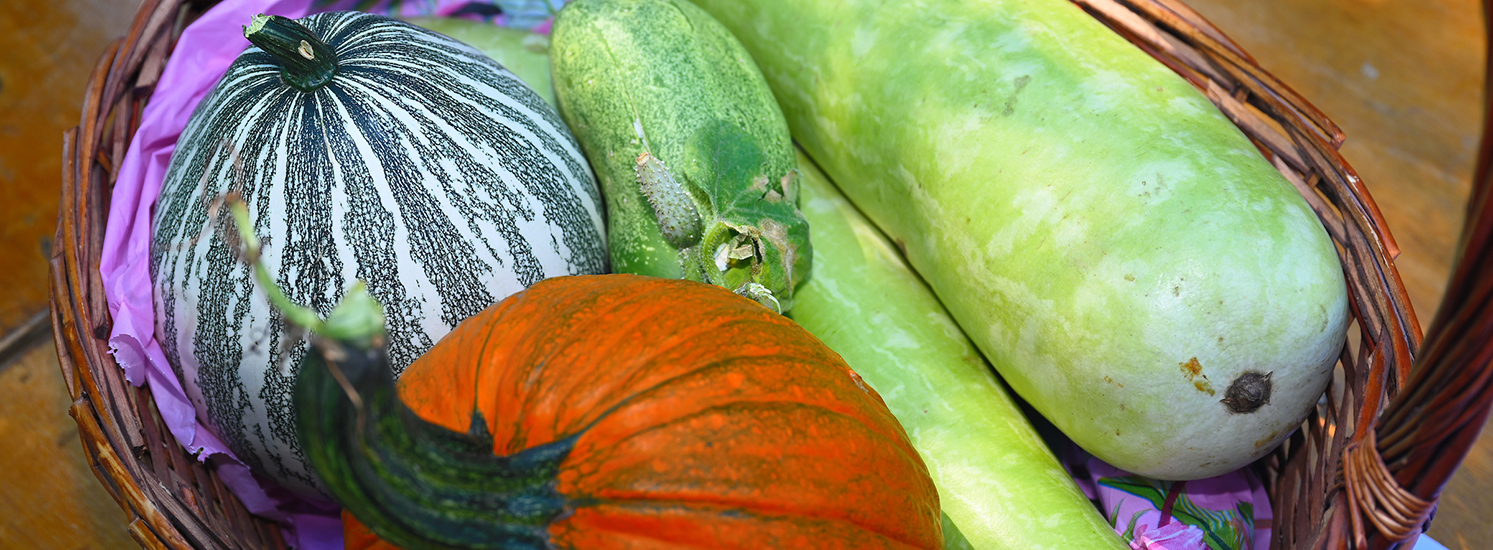 An arrangement of squash and pumpkins at a fall harvest.