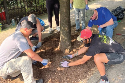 a group of volunteers pat down on the soil of a tree on the side walk