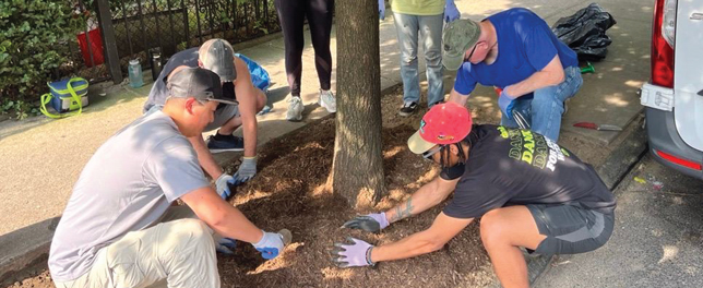 a group of volunteers pat down on the soil of a tree on the side walk