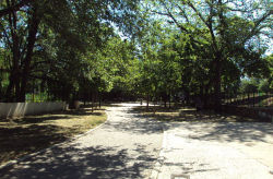 Brower Park