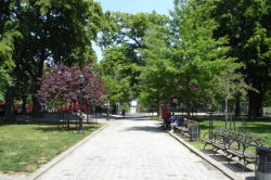 Maria Hernandez Park