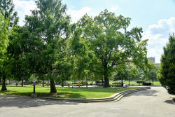 Commodore Barry Park