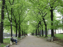 Lincoln Terrace / Arthur S. Somers Park