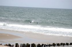 Jamaica Bay and the Rockaways