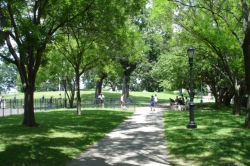 McKinley Park