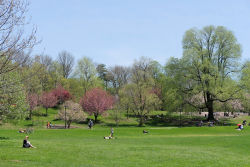 Prospect Park