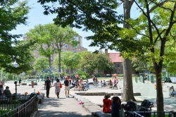 Washington Skate Park