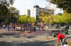 Kelly Park Playground