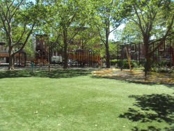 Raymond Bush Playground