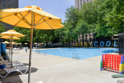 Bushwick Playground