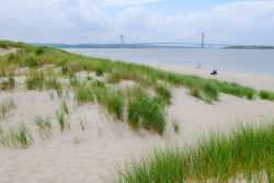 Coney Island Creek Park