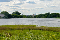 Fresh Creek Nature Preserve