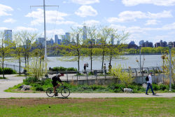 Bushwick Inlet Park