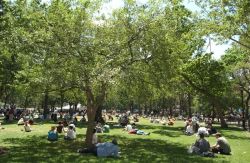 Madison Square Park