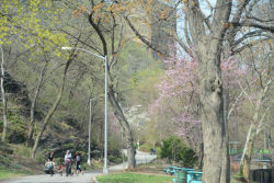 Morningside Park