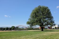 Randall's Island Park