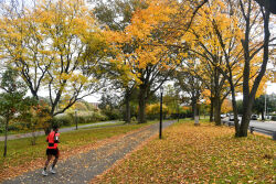 Baisley Pond Park