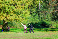 Kissena Park