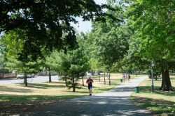 Juniper Valley Park