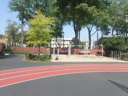 Howard Von Dohlen Playground