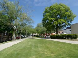 Fresh Meadows Park