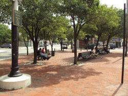 Sergeant Colyer Square