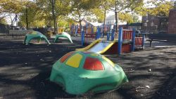 Turtle Playground