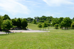 Elmhurst Park