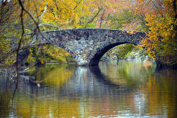 Clove Lakes Park