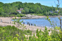 Wolfe's Pond Park