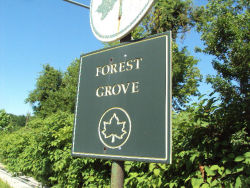 Forest Grove