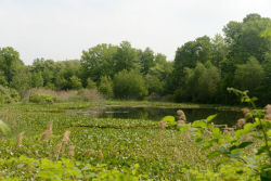 Eibs Pond Park