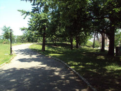 Franz Sigel Park