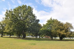 Ferry Point Park