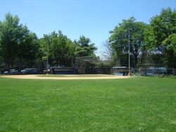 Cooney Grauer Field