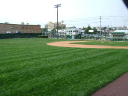 Castle Hill Little League Field