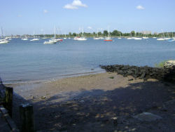 City Island Wetlands