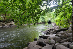 West Farms Rapids