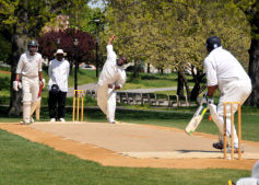 Baisley Pond Park Cricket Field