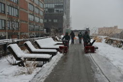 Winter Snow at The High Line and Fort Greene Park