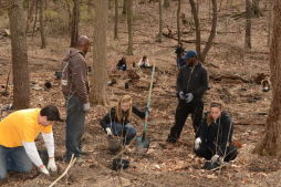 NY Knicks Tree Planting