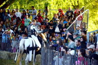 2013 Medieval Festival