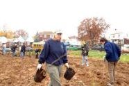 MillionTreesNYC planting in Kissena Corridor Park 