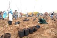 MillionTreesNYC planting in Kissena Corridor Park 