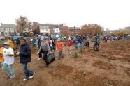 MillionTreesNYC planting in Kissena Corridor Park 